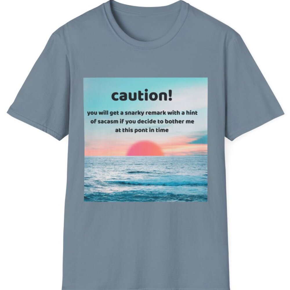 Sunny Warning T-Shirt, Unisex Softstyle Shirt, Sarcastic Tee,
